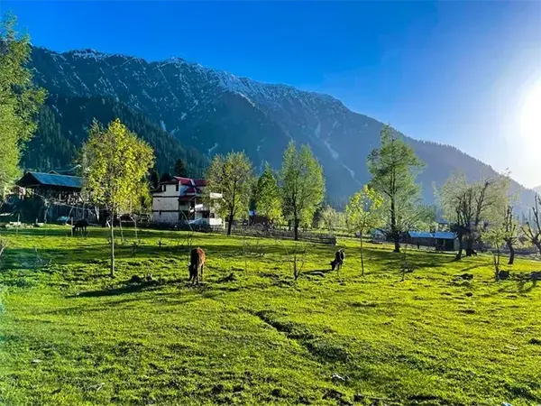 Nishat Bagh
